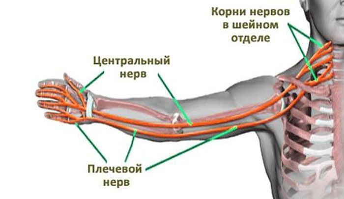 ПРИЧИНИ ОНІМІННЯ РУК