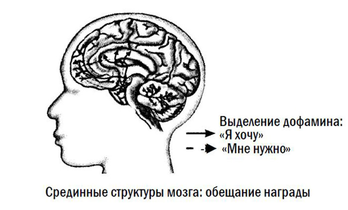 ЧОМУ МИ ПРИЙМАЄМО БАЖАННЯ ЗА ЩАСТЯ