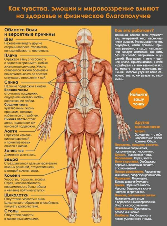 ЕМОЦІЙНЕ НАПРУЖЕННЯ І М'ЯЗОВІ ЗАТИСКИ