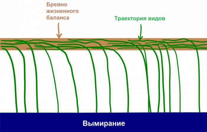 ШТУЧНИЙ ІНТЕЛЕКТ
