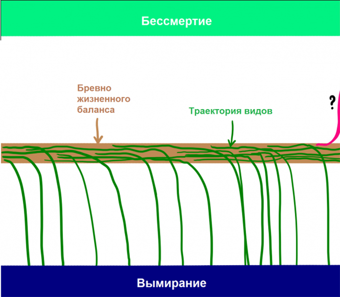 ШТУЧНИЙ ІНТЕЛЕКТ